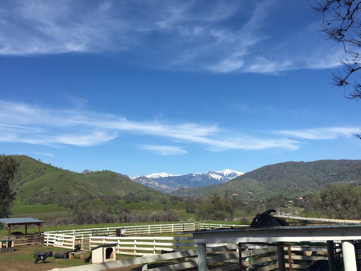 Lazy J Ranch Motel - thumb 12