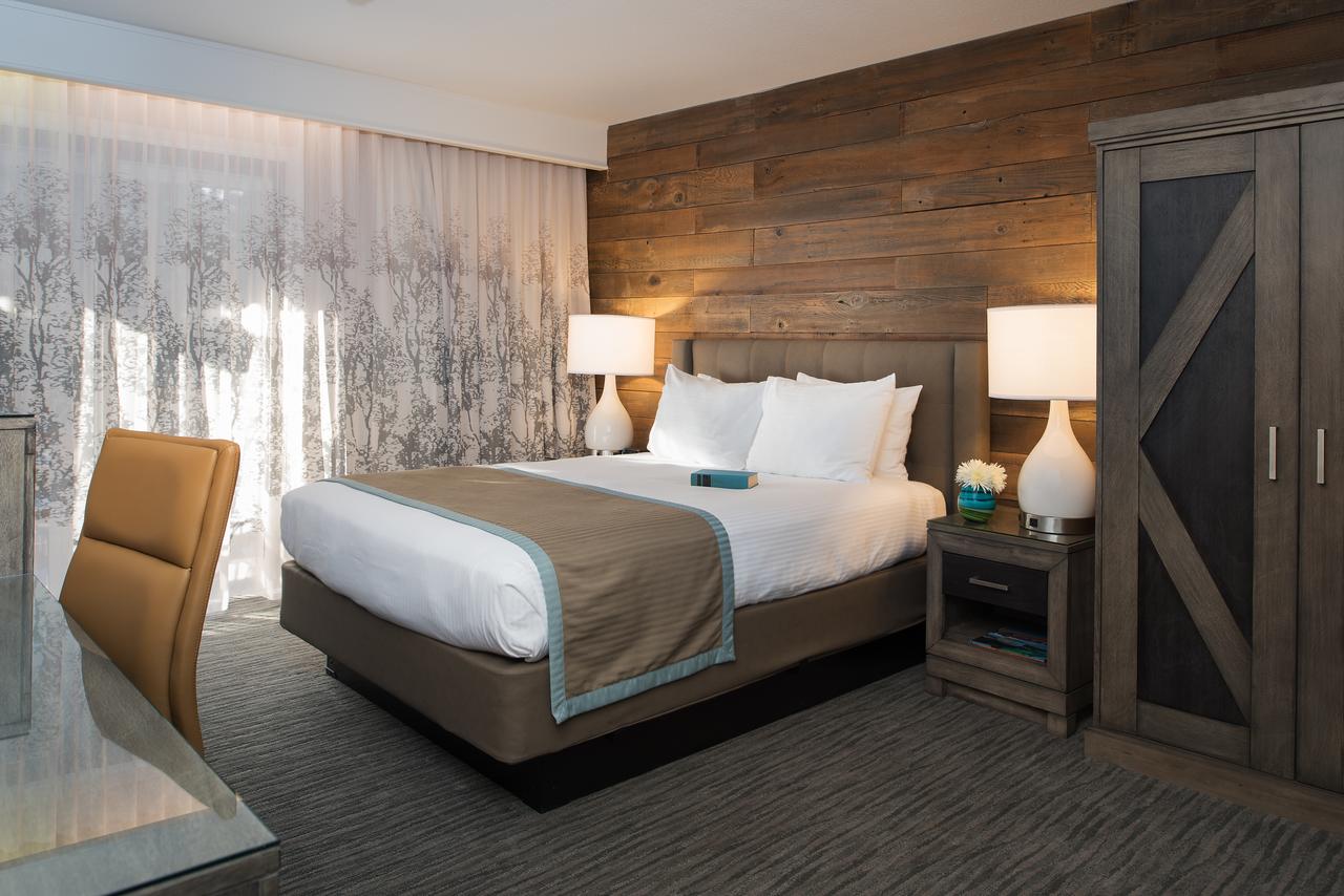 Hotel Azure - thumb 6