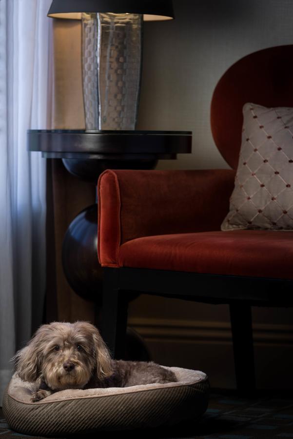 Hotel Shattuck Plaza - thumb 27