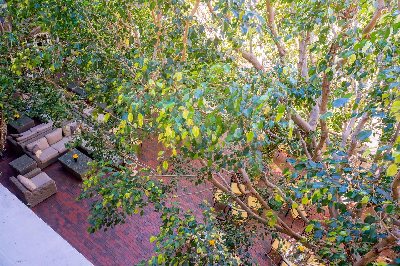 Horton Grand Hotel - thumb 19