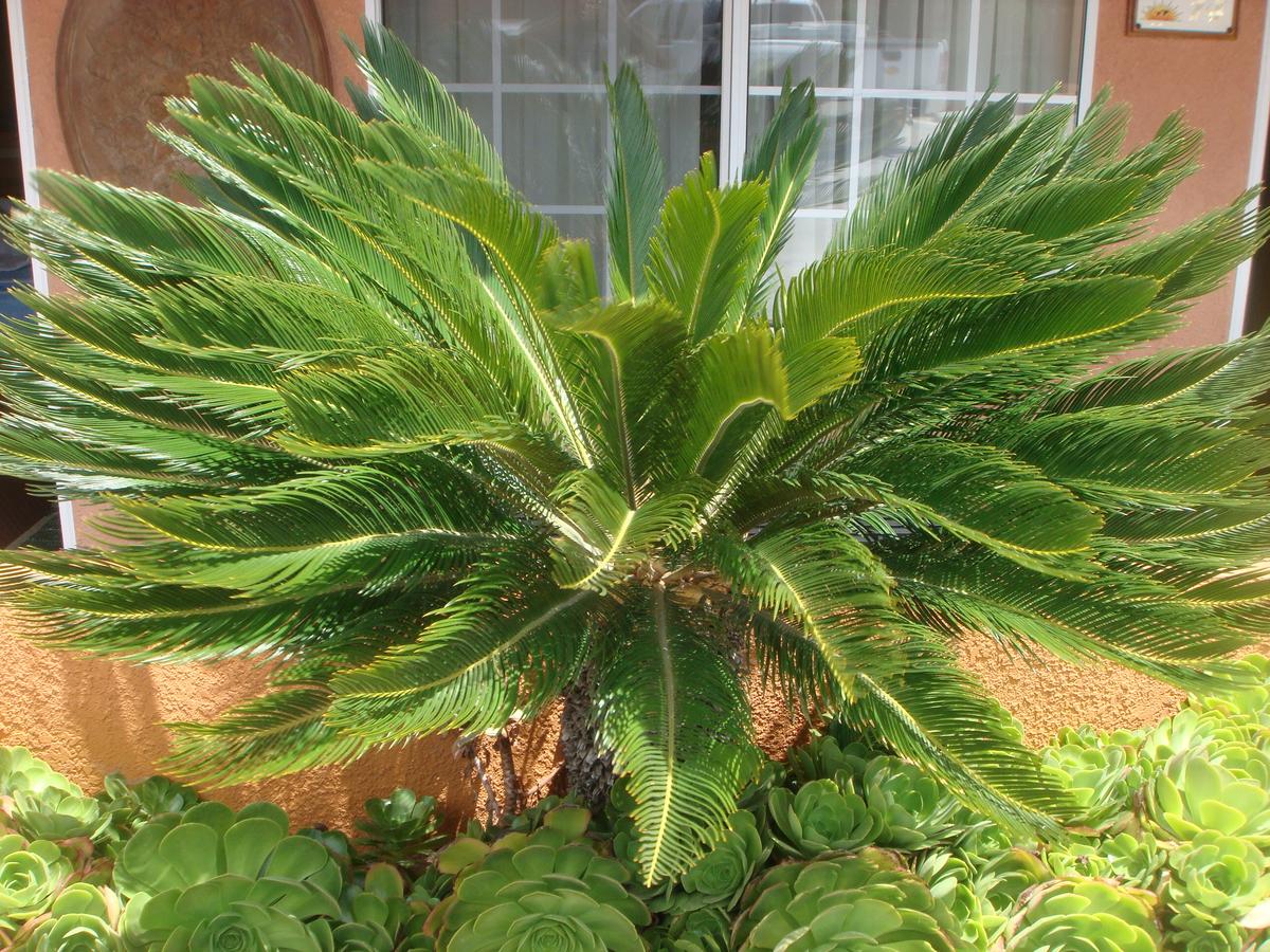 Economy Inn Los Banos - thumb 18