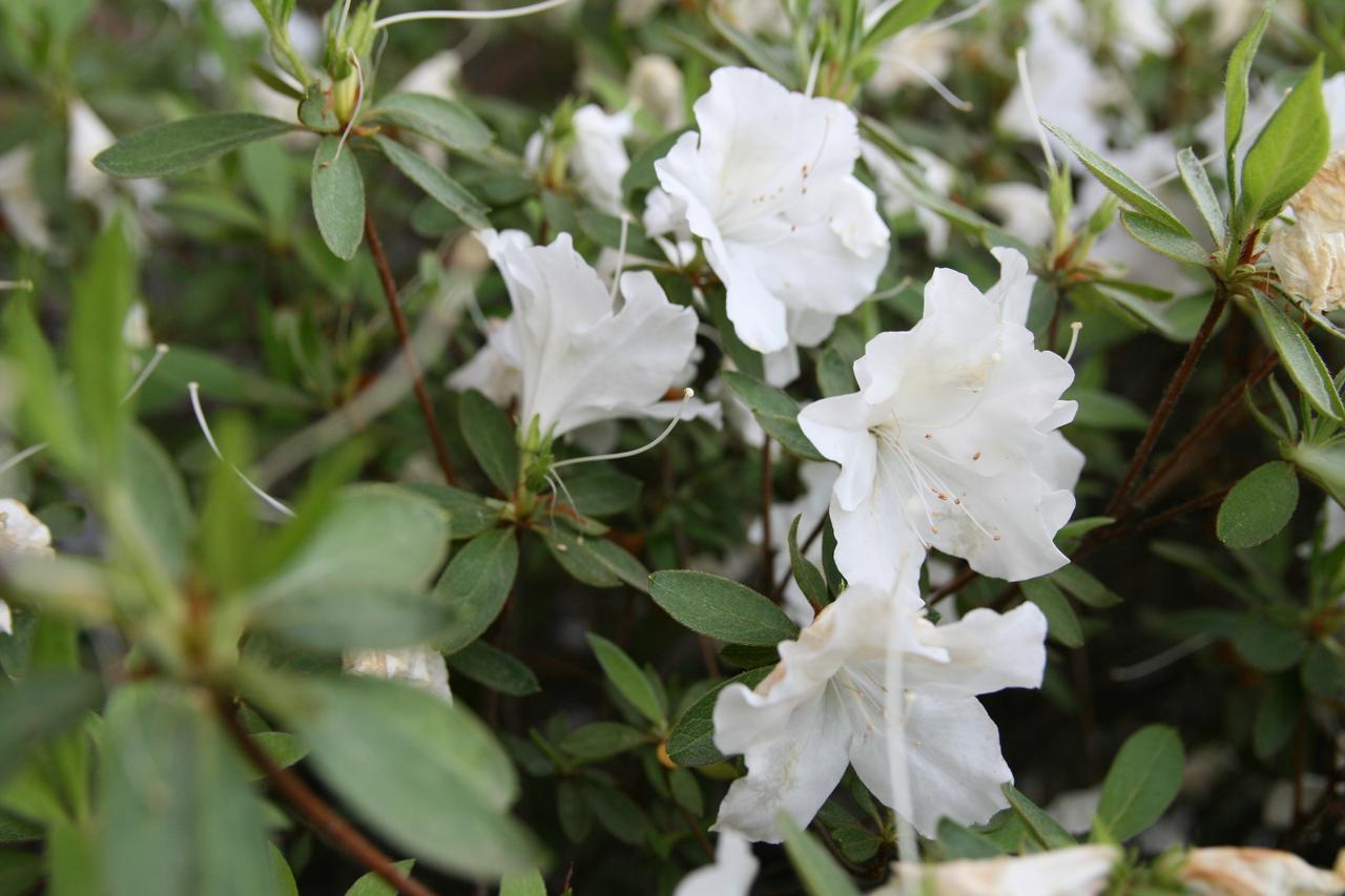 Days Inn By Wyndham Rocklin/Sacramento - thumb 20