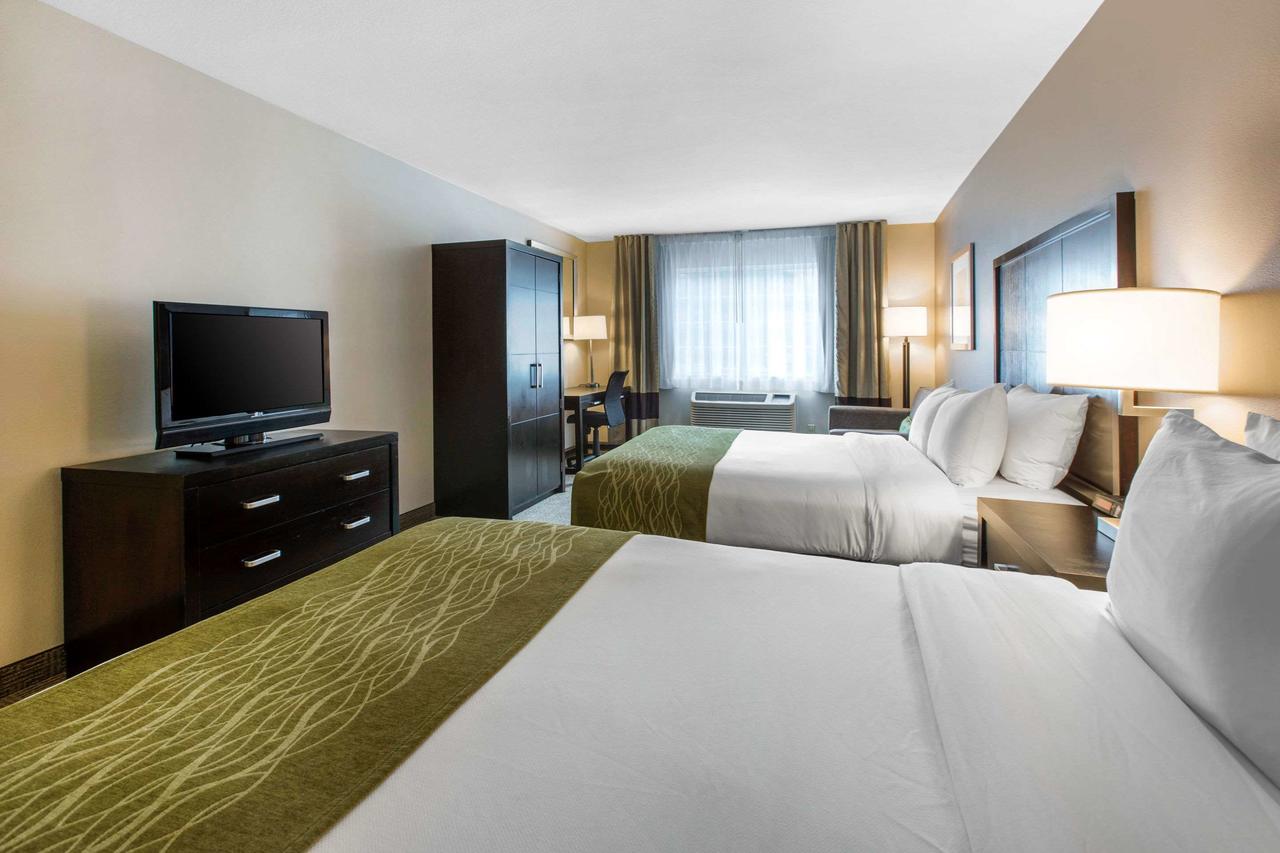 Comfort Inn & Suites San Diego Zoo SeaWorld Area - thumb 13