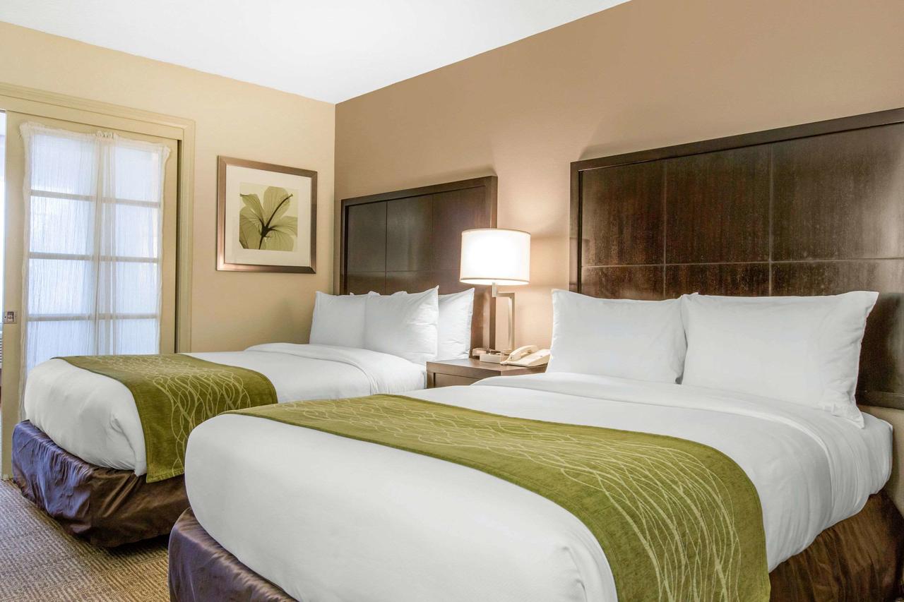 Comfort Inn & Suites San Diego Zoo SeaWorld Area - thumb 20