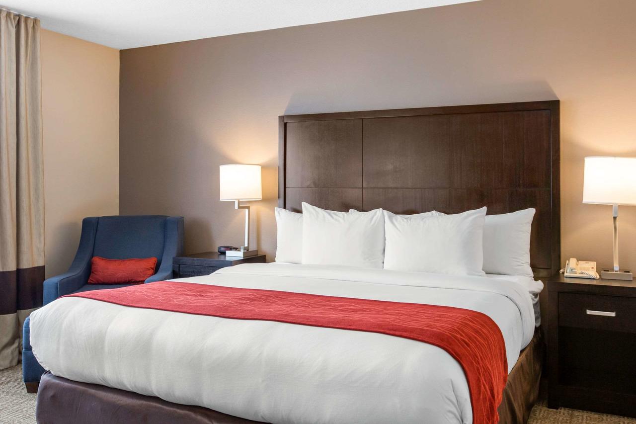 Comfort Inn & Suites San Diego Zoo SeaWorld Area - thumb 6