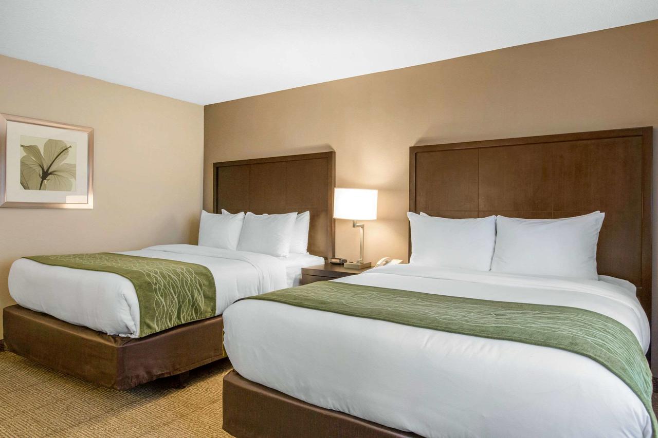 Comfort Inn & Suites San Diego Zoo SeaWorld Area - thumb 1