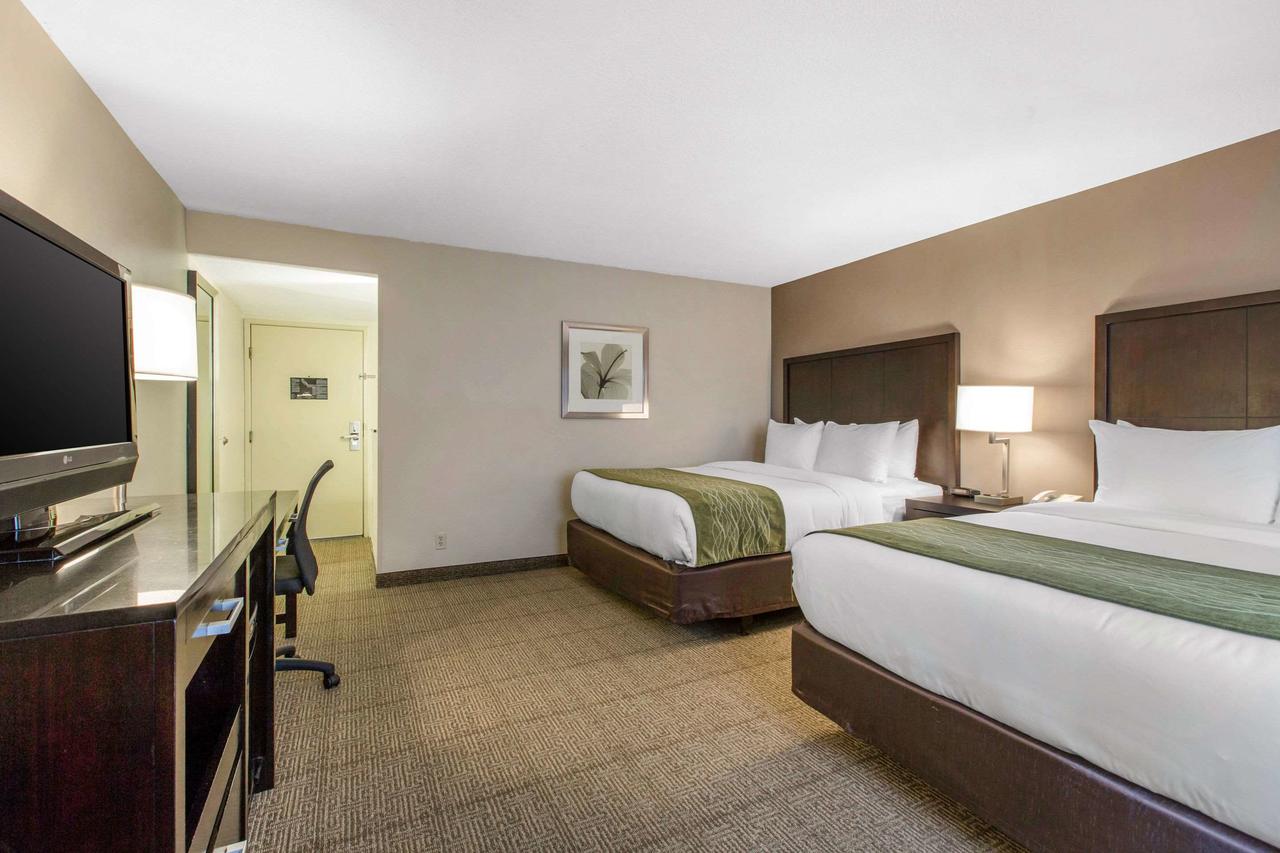 Comfort Inn & Suites San Diego Zoo SeaWorld Area - thumb 15