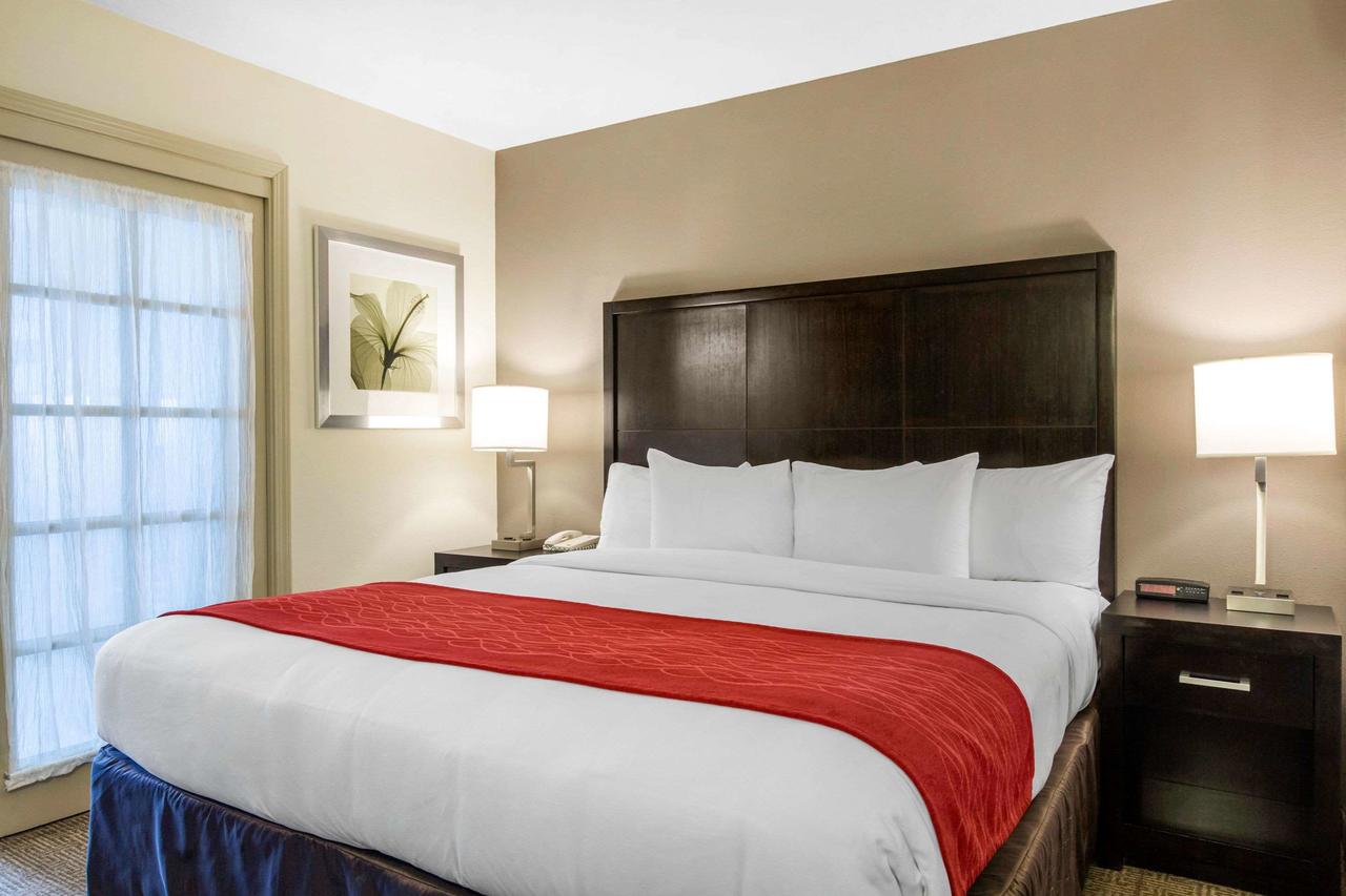 Comfort Inn & Suites San Diego Zoo SeaWorld Area - thumb 28