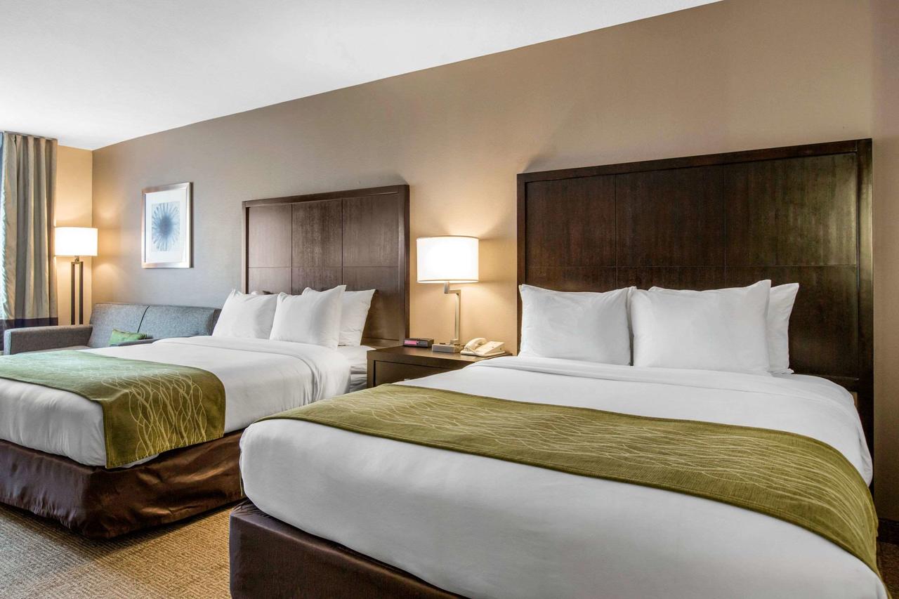 Comfort Inn & Suites San Diego Zoo SeaWorld Area - thumb 8