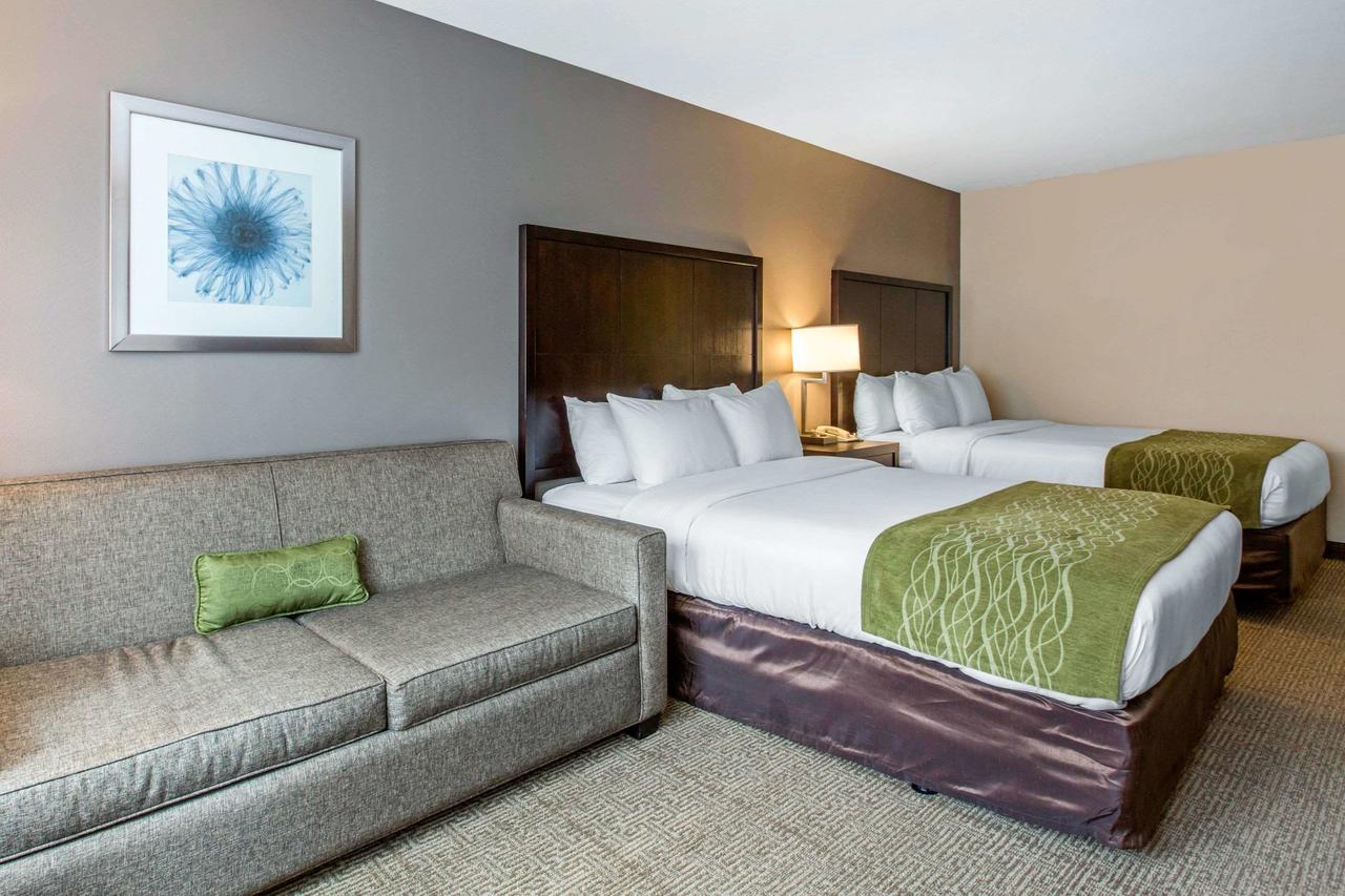 Comfort Inn & Suites San Diego Zoo SeaWorld Area - thumb 22