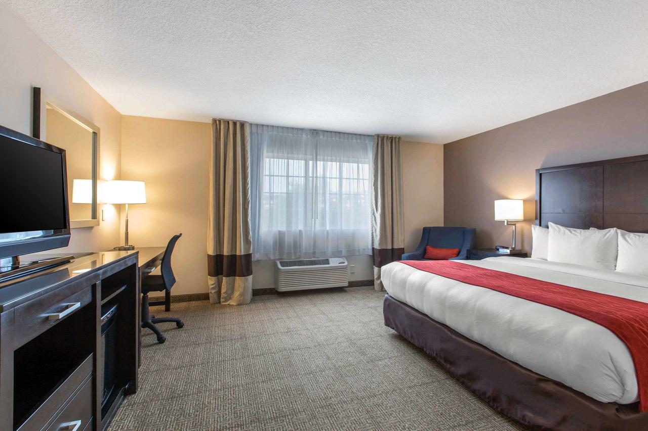 Comfort Inn & Suites San Diego Zoo SeaWorld Area - thumb 16