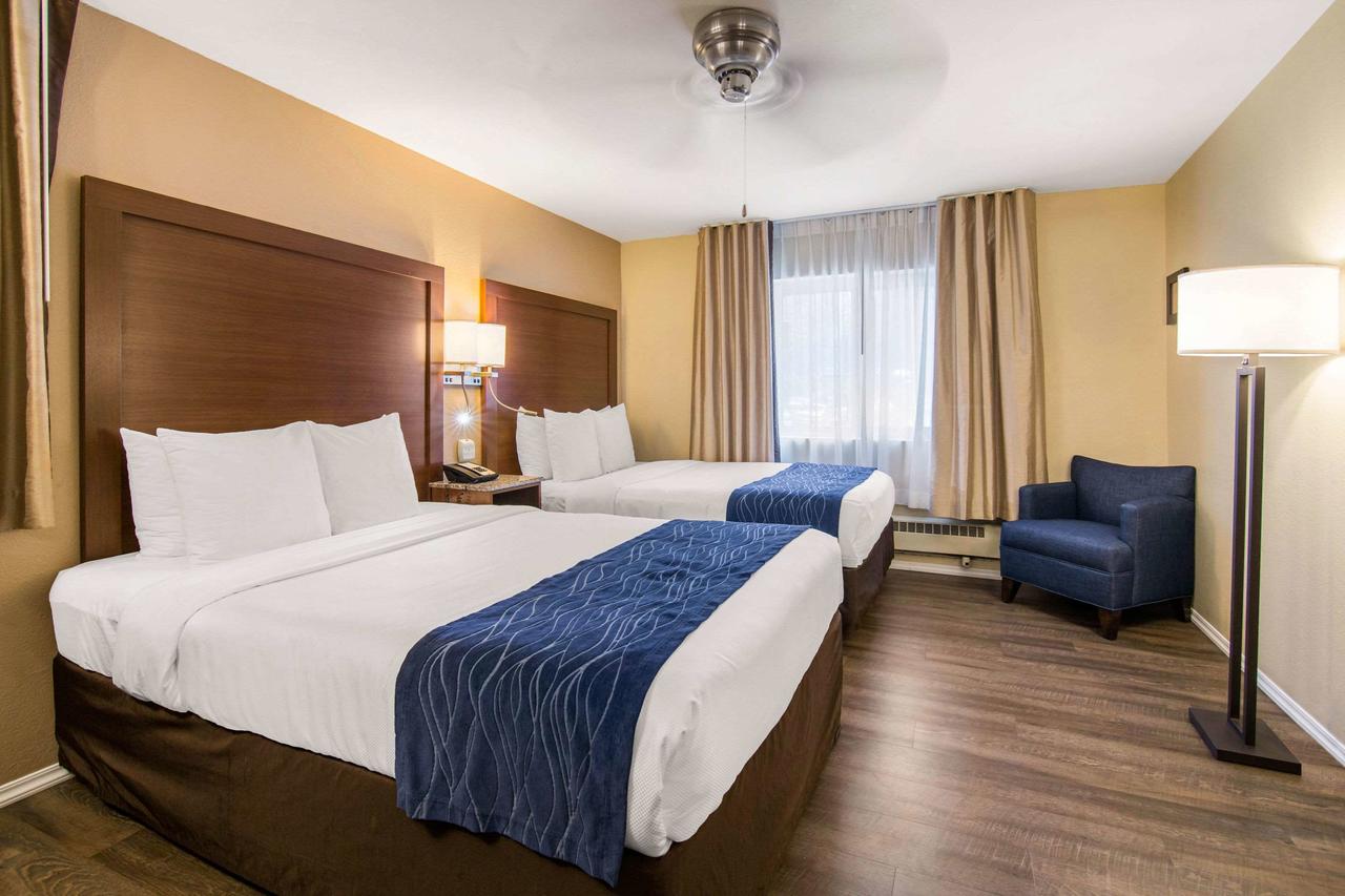 Comfort Inn Gaslamp Convention Center - thumb 20
