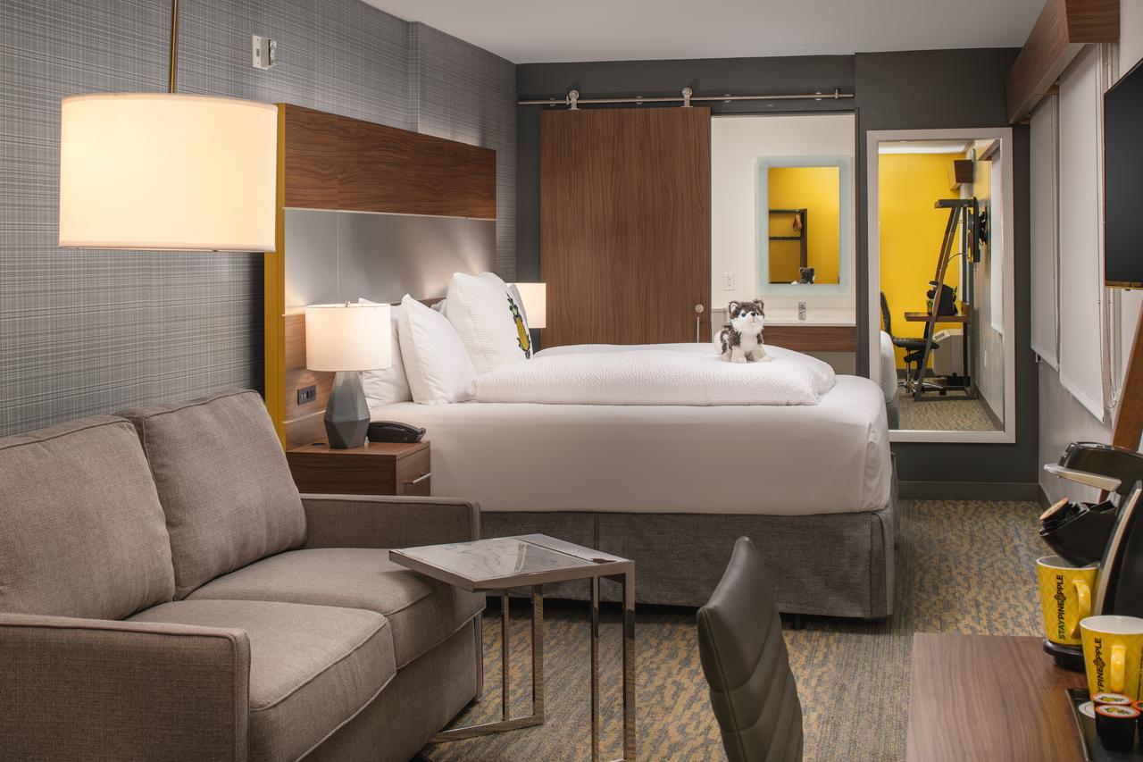 Staypineapple At Hotel Z - thumb 11