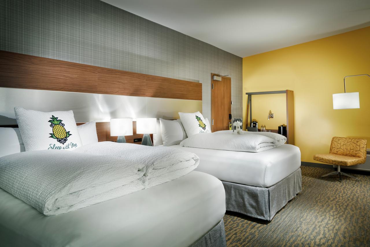 Staypineapple At Hotel Z - thumb 40