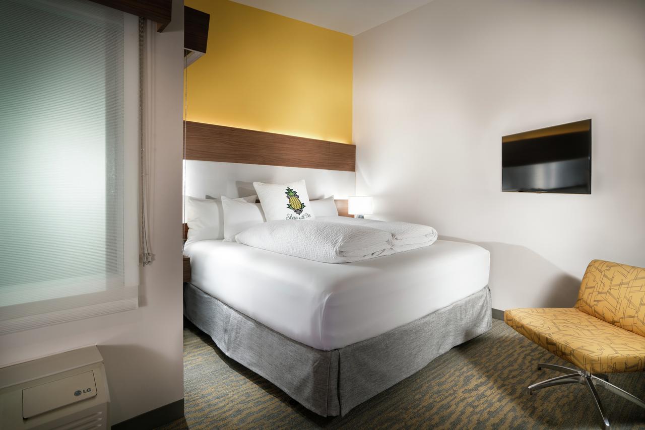 Staypineapple At Hotel Z - thumb 33