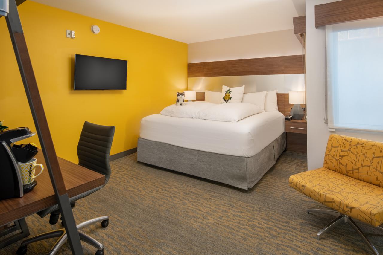 Staypineapple At Hotel Z - thumb 6