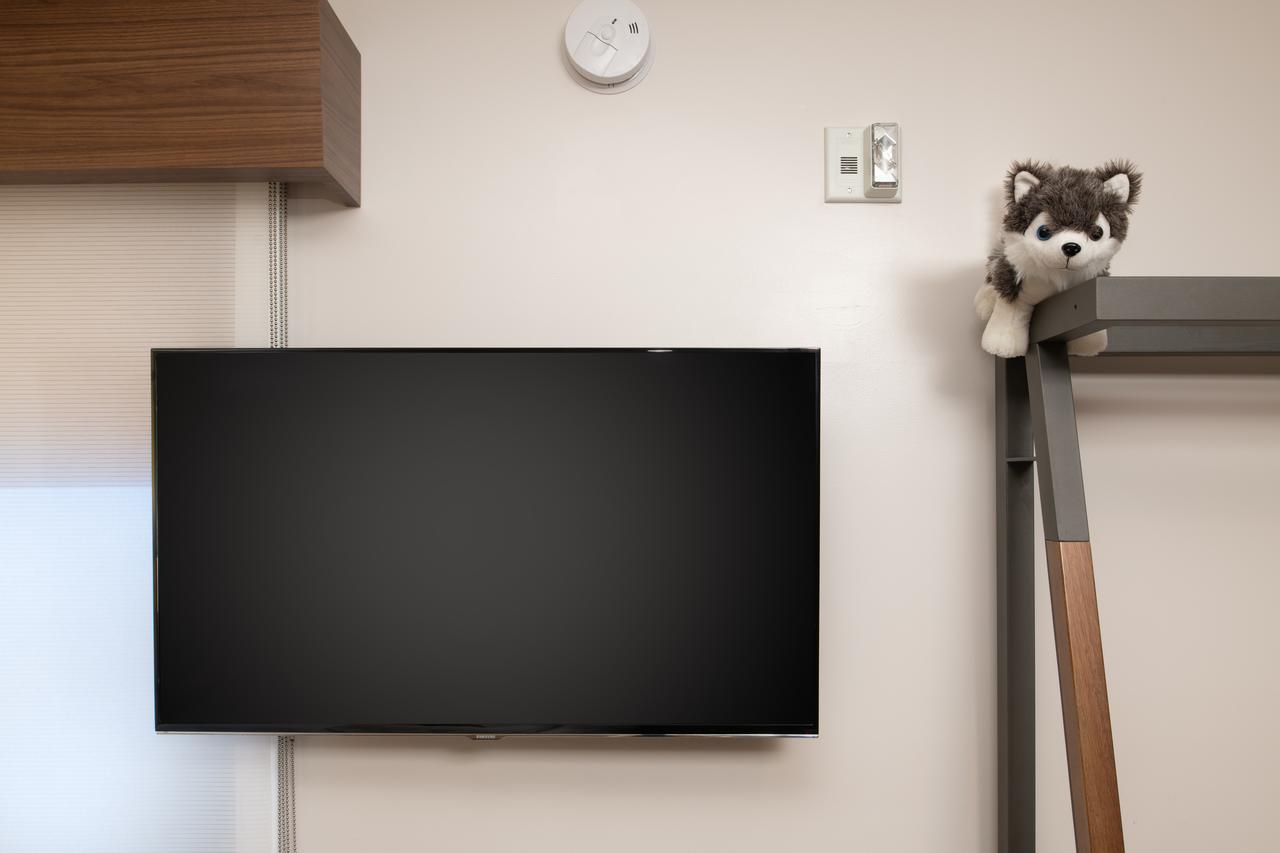 Staypineapple At Hotel Z - thumb 2