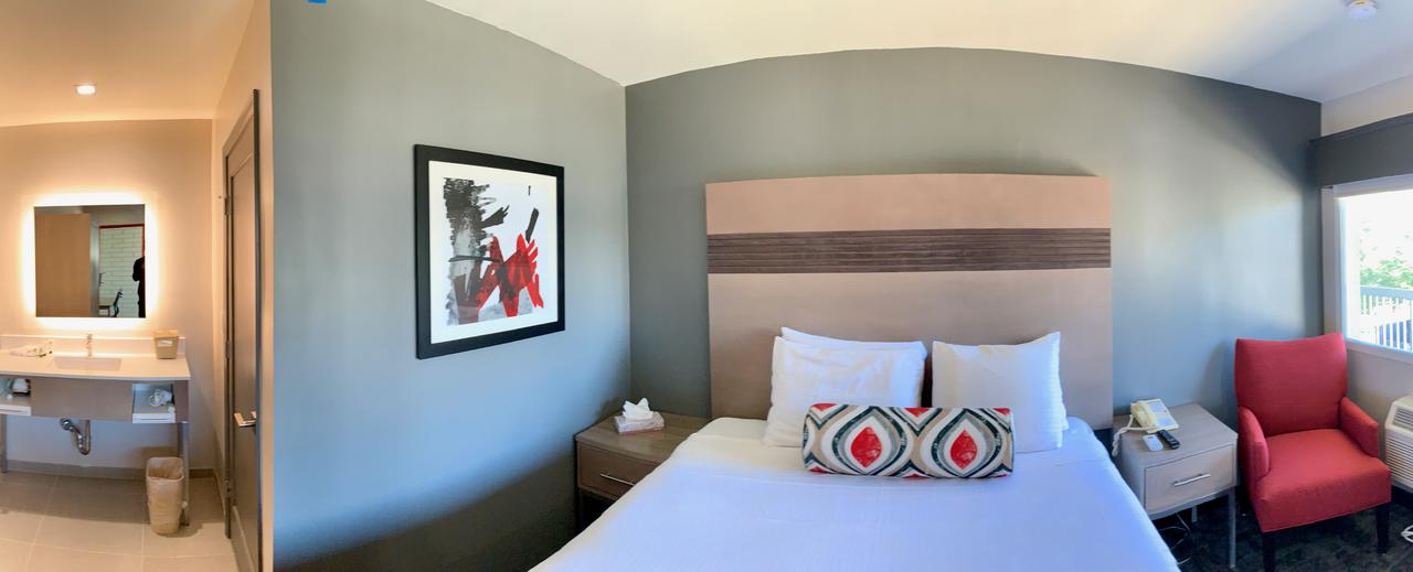 Pacific Motor Inn - thumb 14