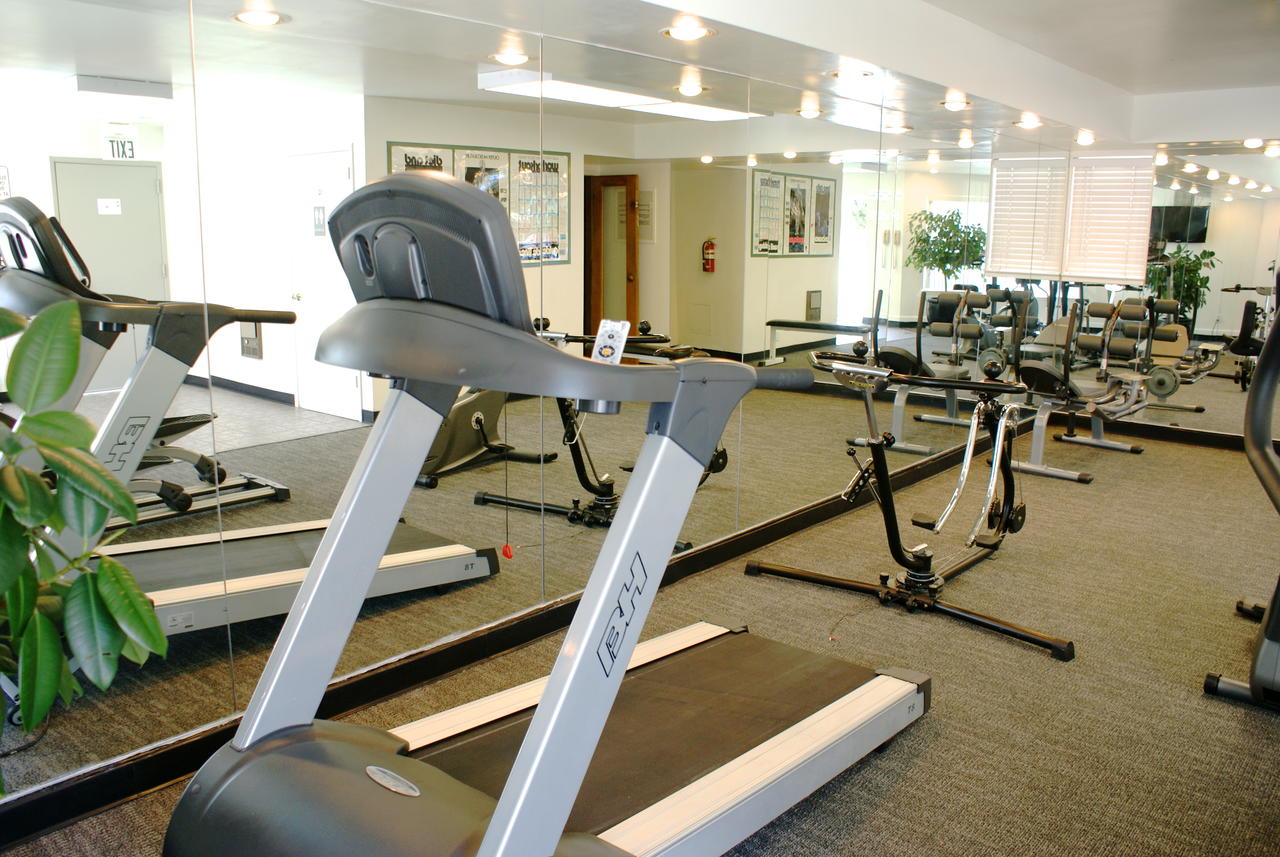 Pacific Motor Inn - thumb 23