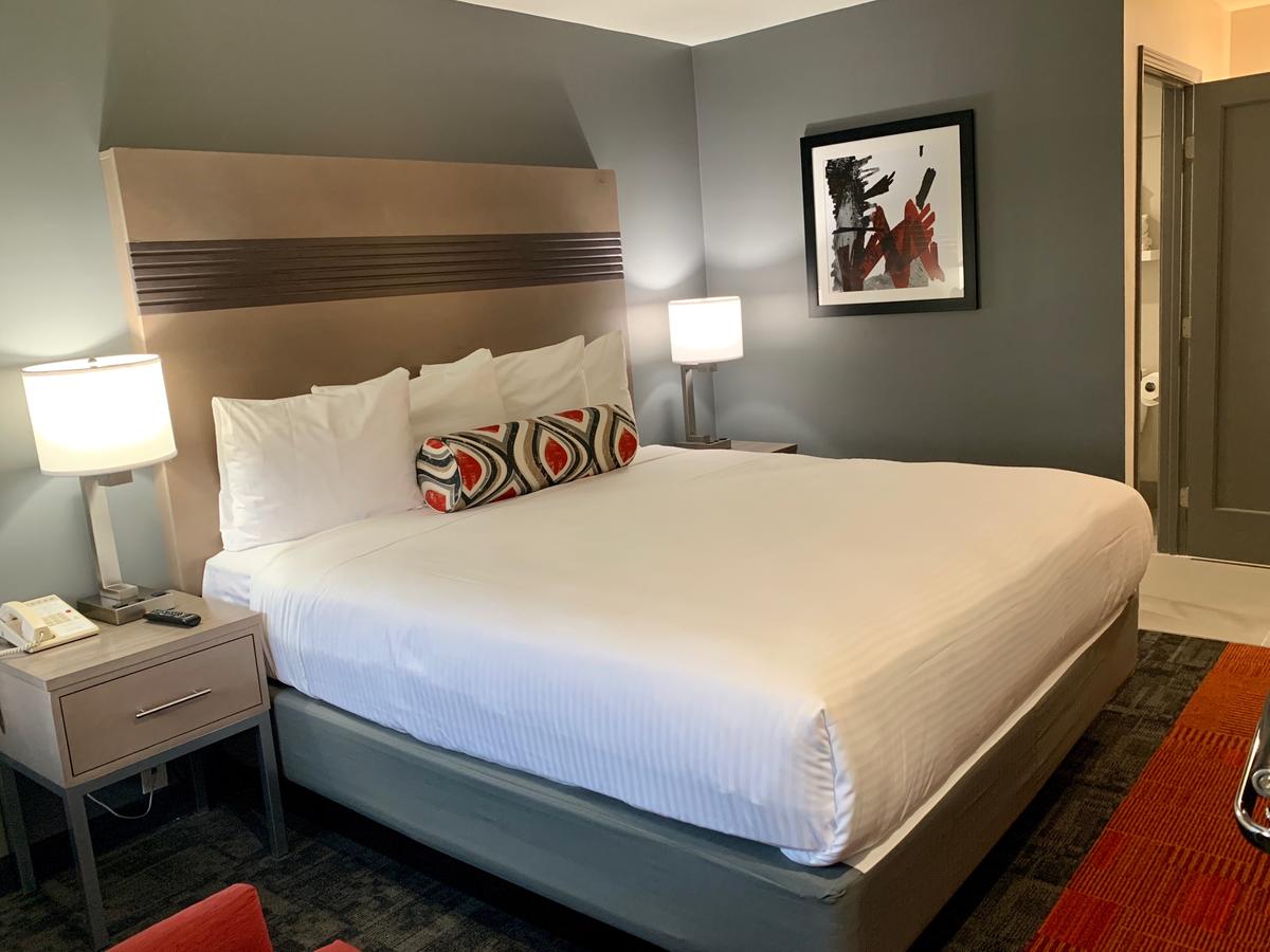 Pacific Motor Inn - thumb 10