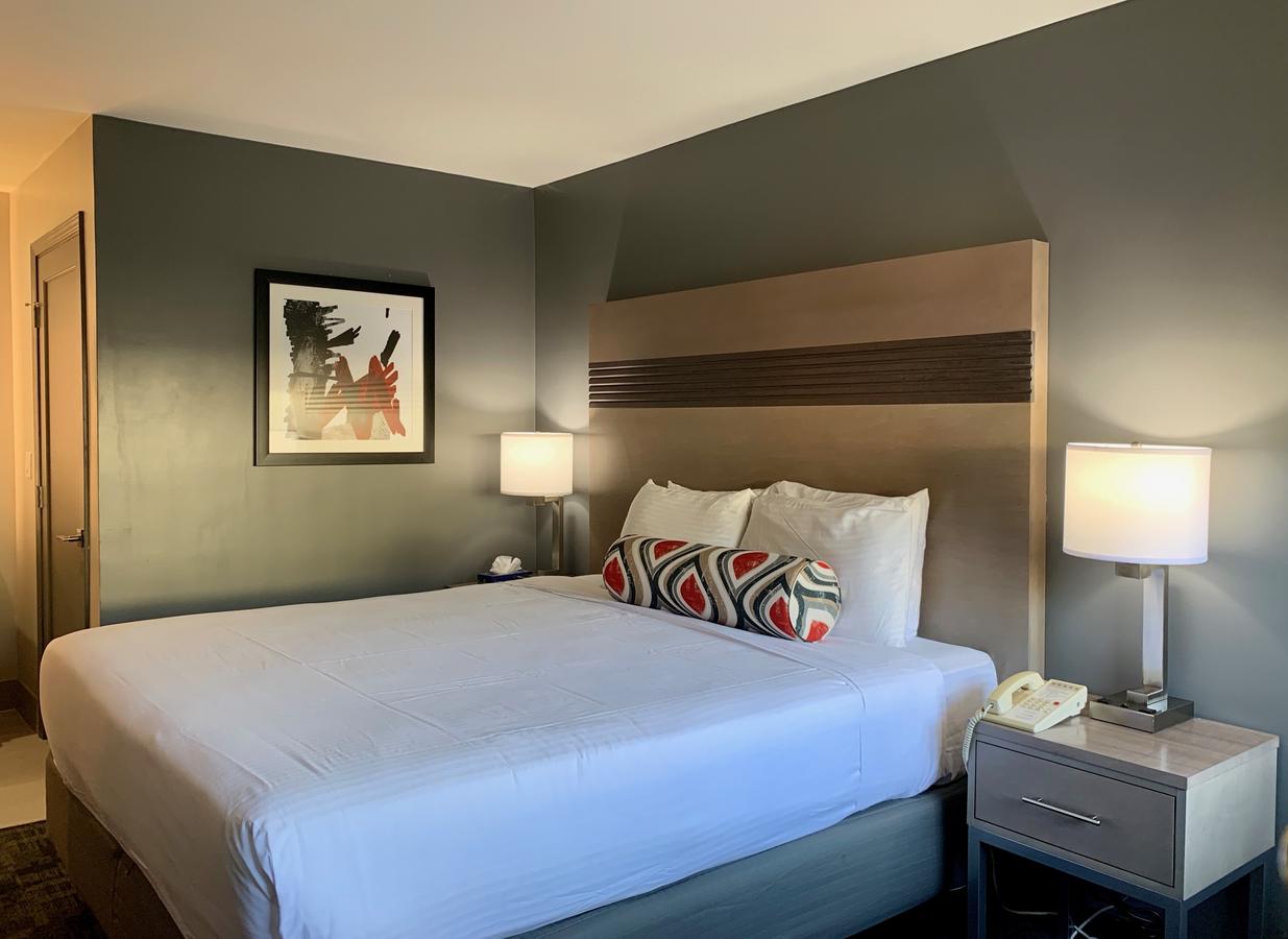 Pacific Motor Inn - thumb 0