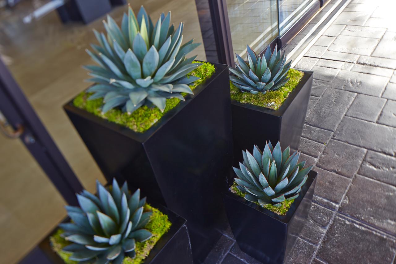 Hilton San Diego Mission Valley - thumb 26