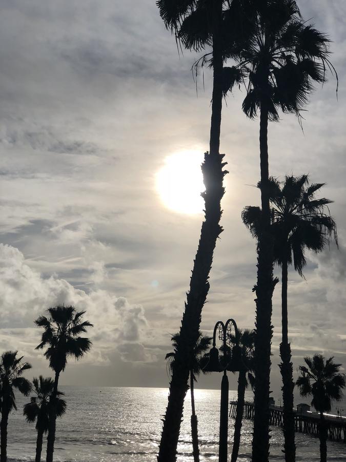 Sea Horse Resort - thumb 37