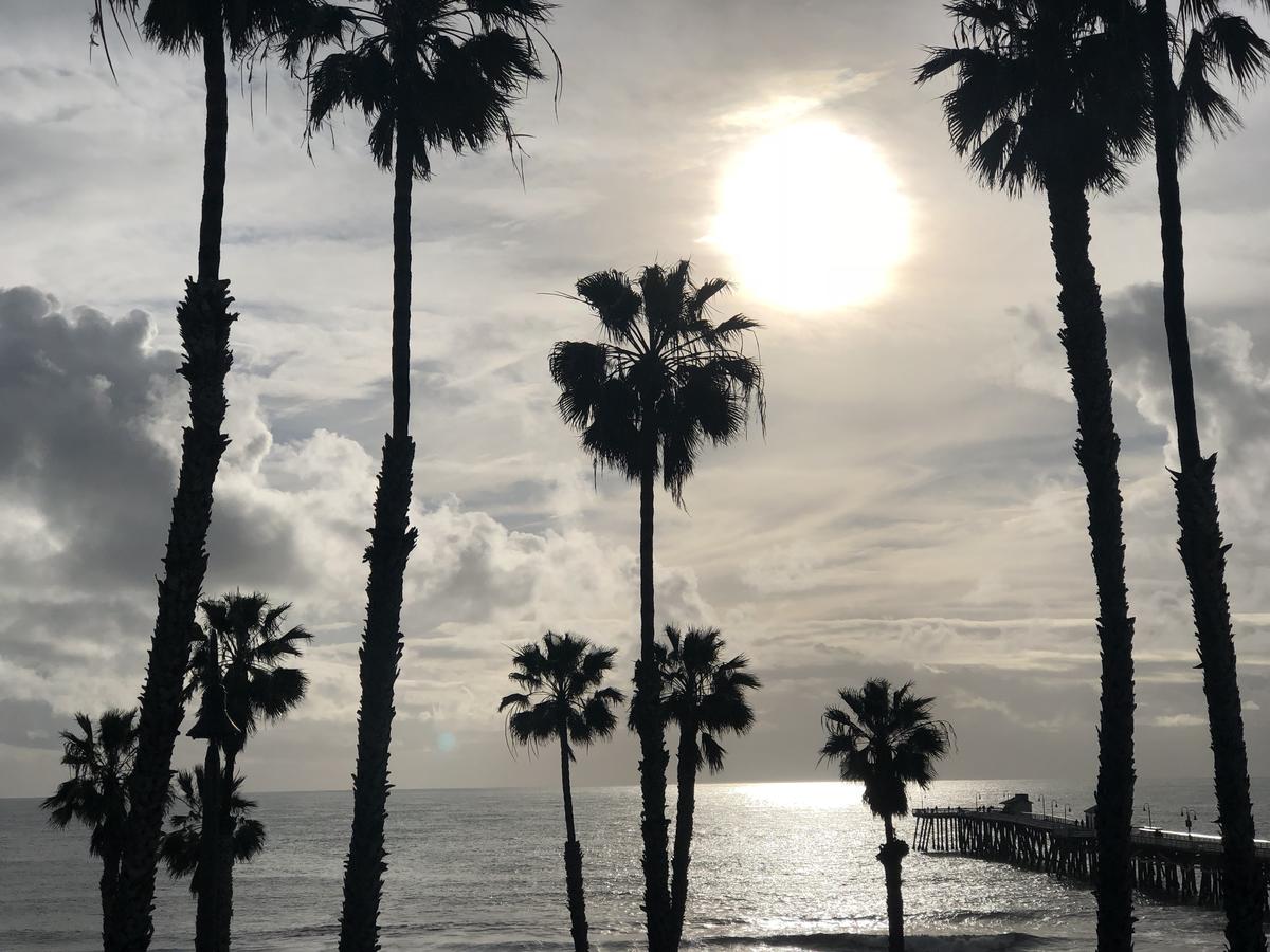 Sea Horse Resort - thumb 38