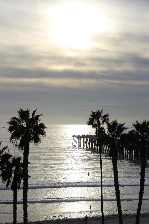 Sea Horse Resort - thumb 32