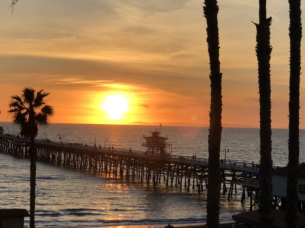 Sea Horse Resort - thumb 35