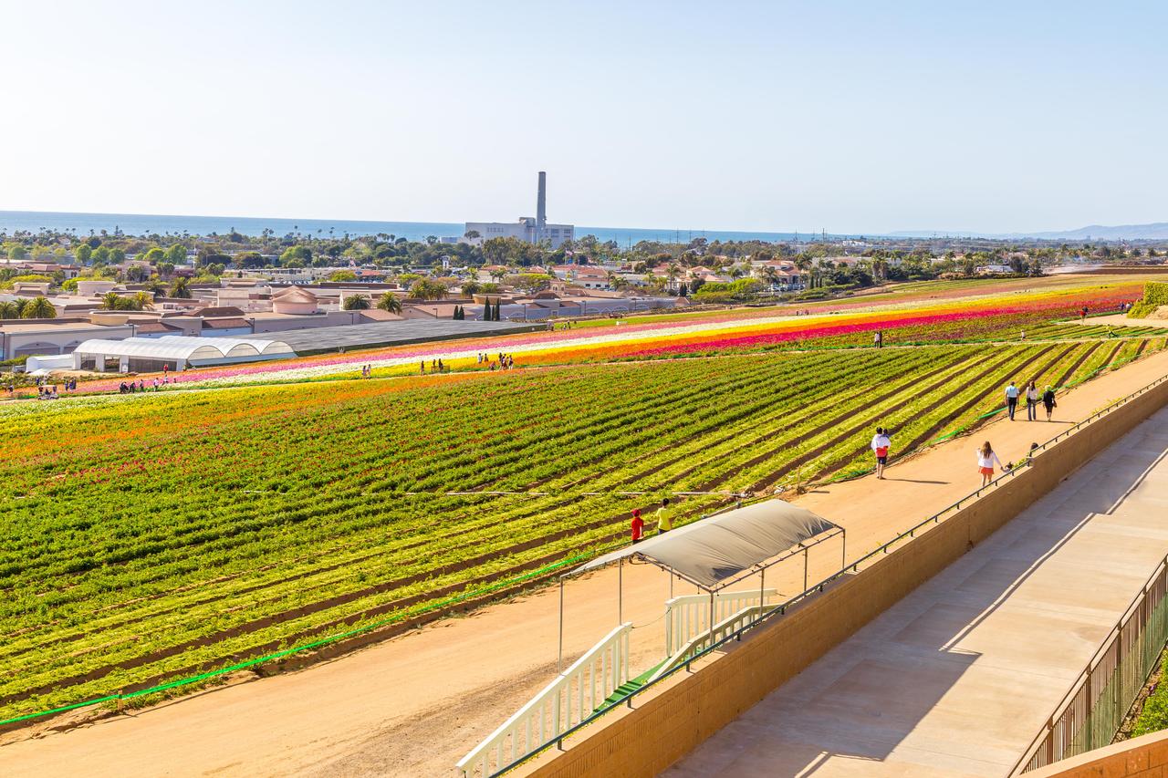 Grand Pacific Palisades Resort & Hotel - thumb 10