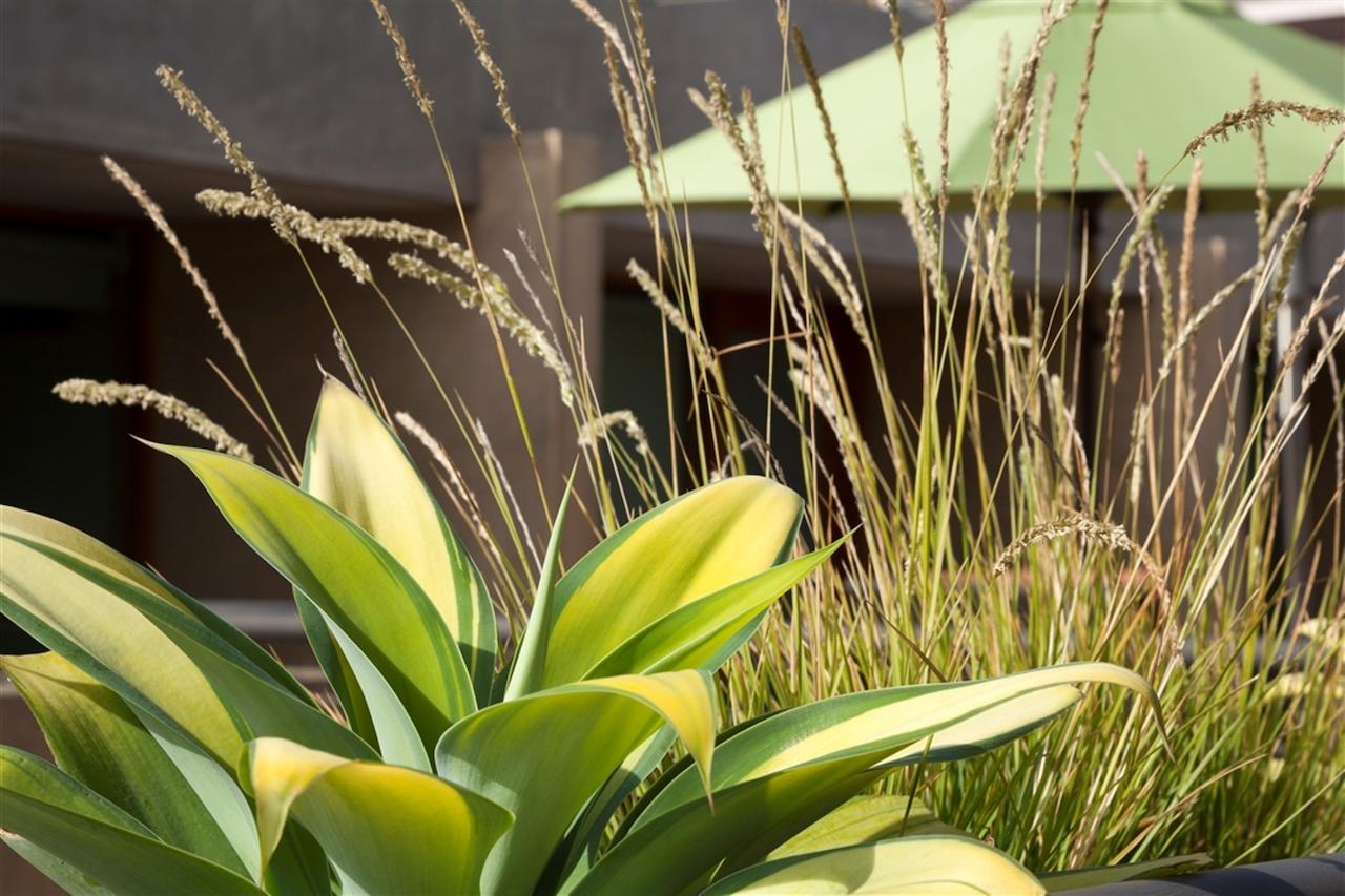 14 West Laguna Beach - thumb 23