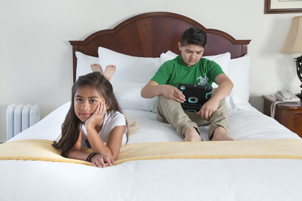 Beresford Arms - thumb 5