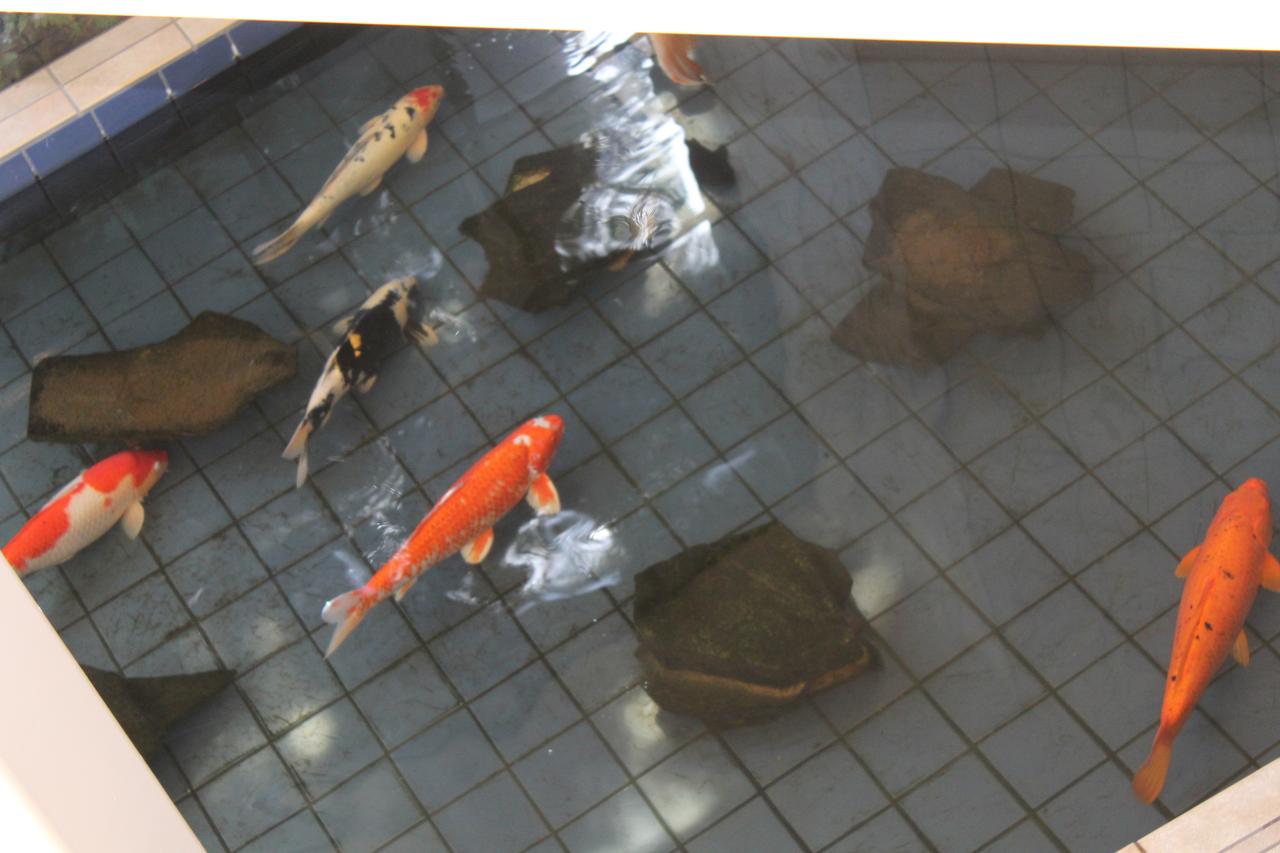 Best Western De Anza Inn - thumb 32