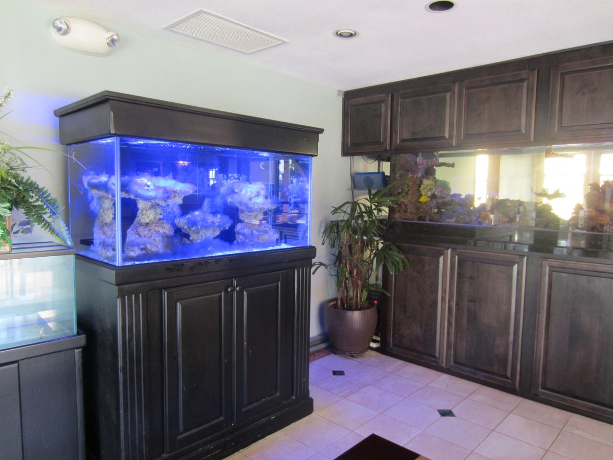 Ocean Park Inn - thumb 29