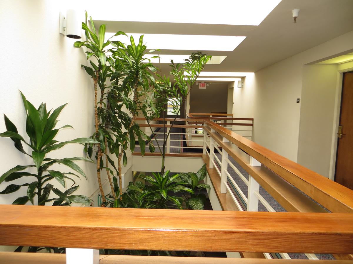 The Monarch Resort - thumb 38