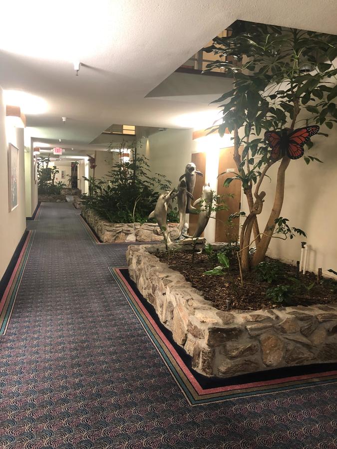 The Monarch Resort - thumb 5