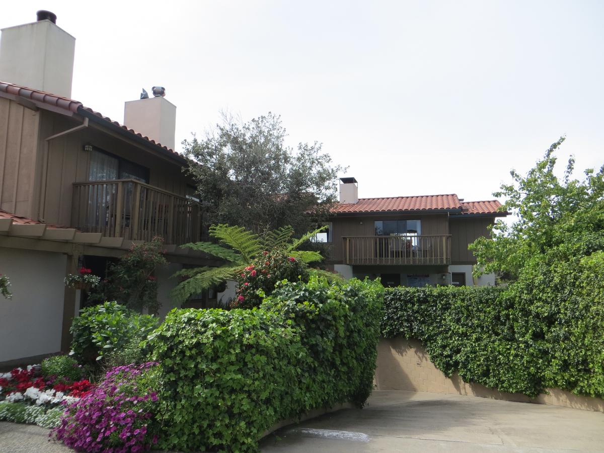 Adobe Inn - thumb 21