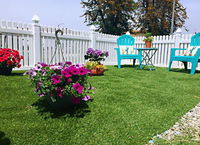 Book Los Angeles Hotels, USA Accommodation USA Accommodation