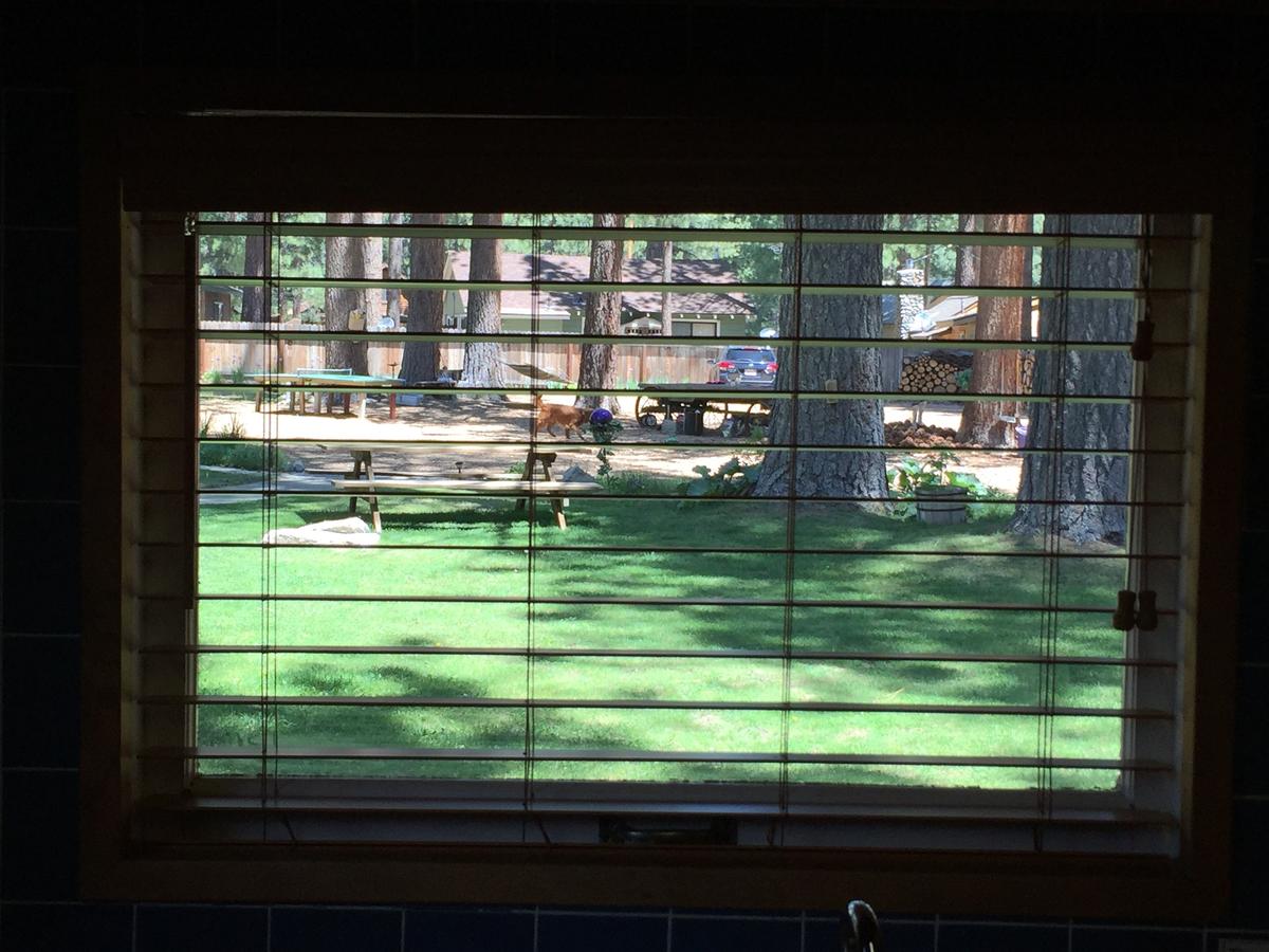 Holly's Place - thumb 21