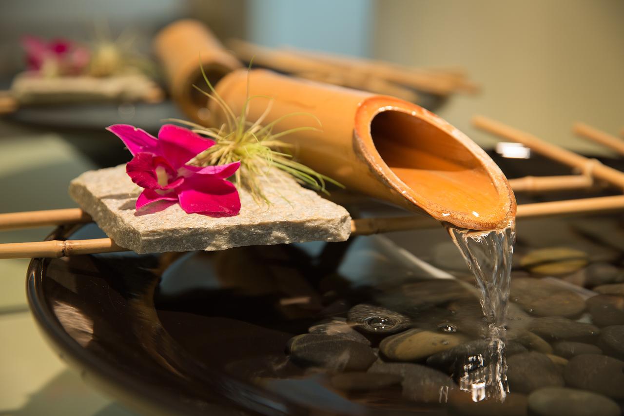 Tradewinds Carmel - thumb 10