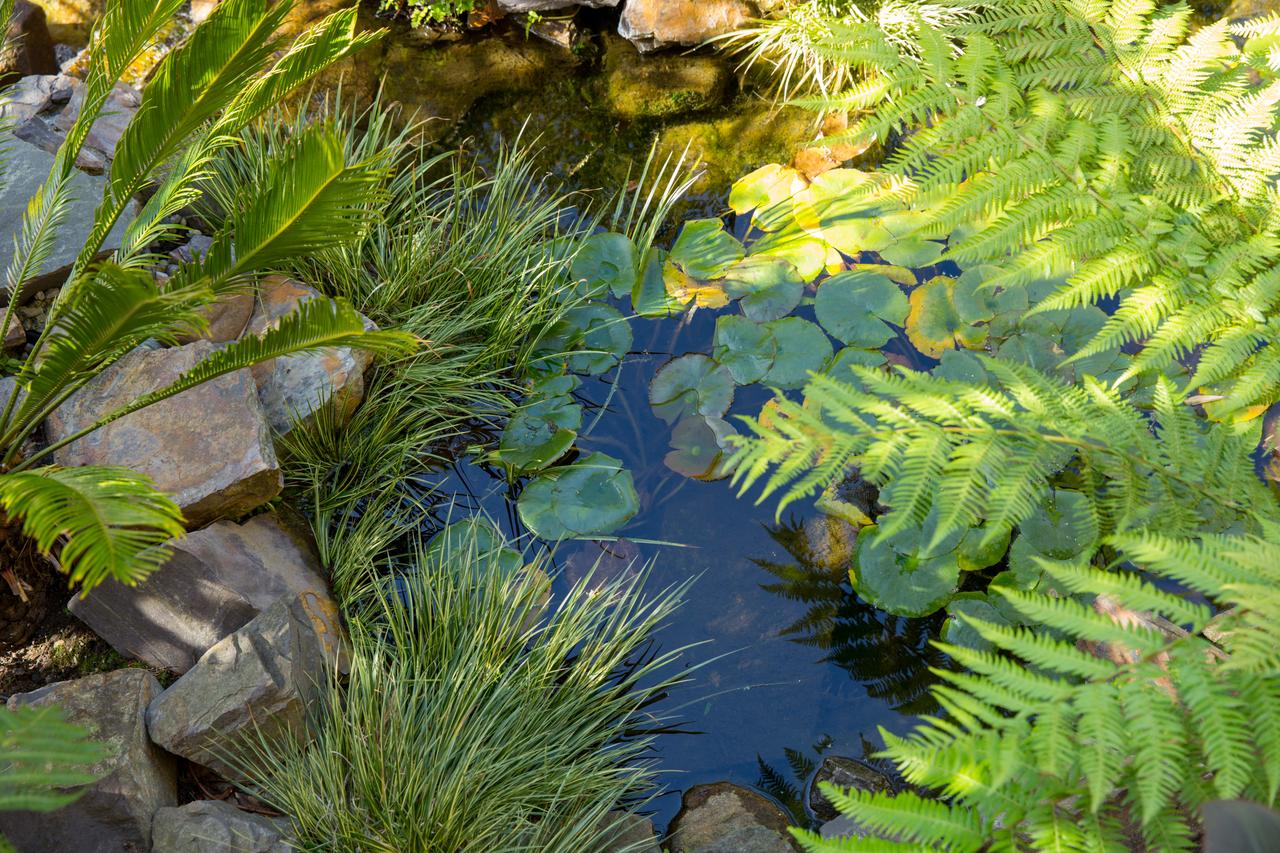 Tradewinds Carmel - thumb 12