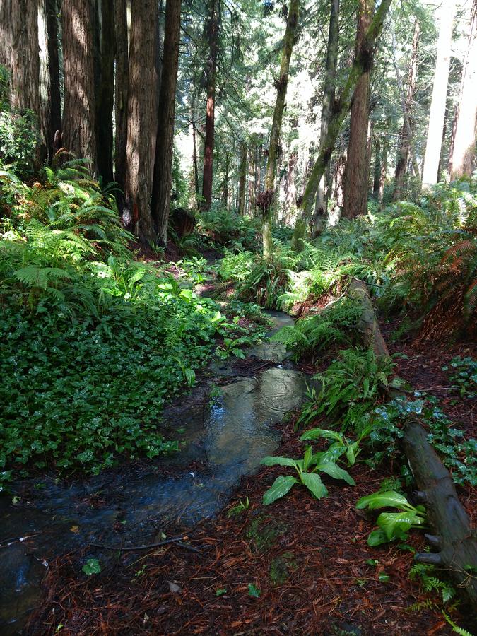 Emerald Forest Cabins - thumb 1