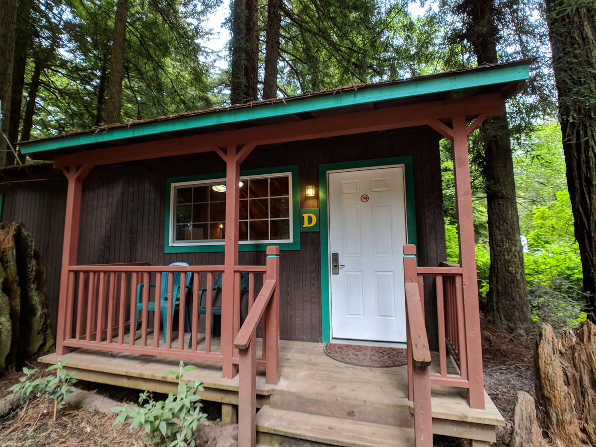 Emerald Forest Cabins - thumb 31