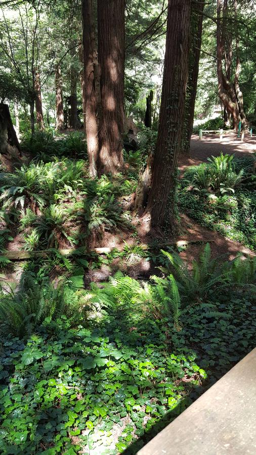 Emerald Forest Cabins - thumb 42