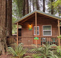 Emerald Forest Cabins - Tourism Bookings