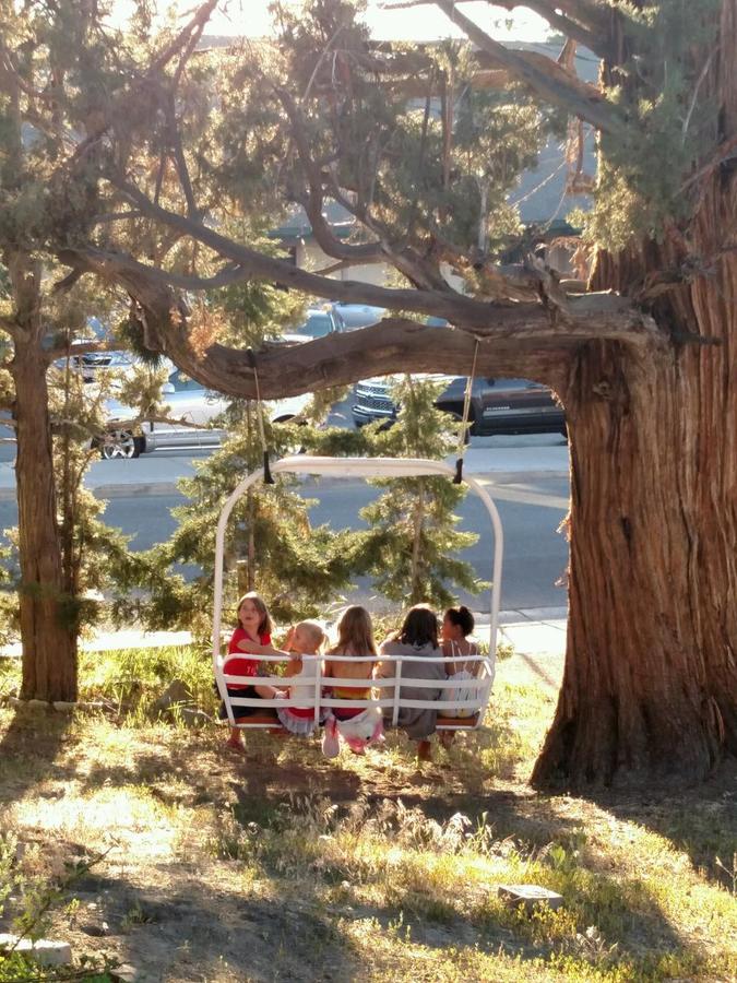 Big Bear Hostel - thumb 3