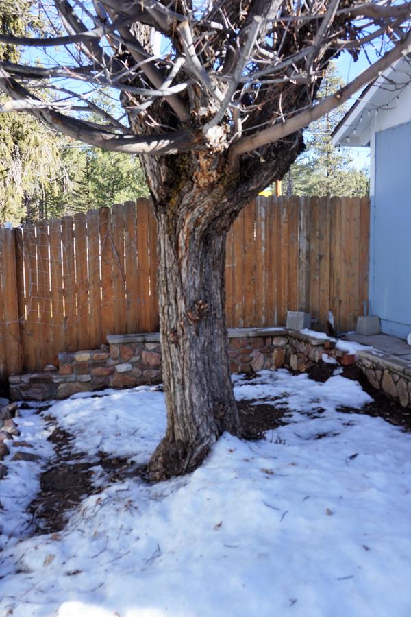 Blue Horizon Lodge - thumb 13