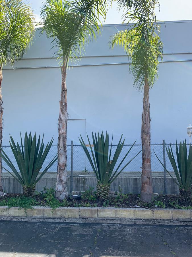 Sandyland Reef Inn - thumb 17