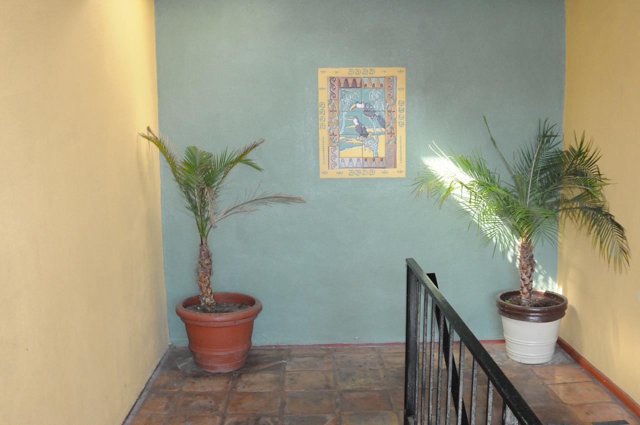 Sandyland Reef Inn - thumb 38